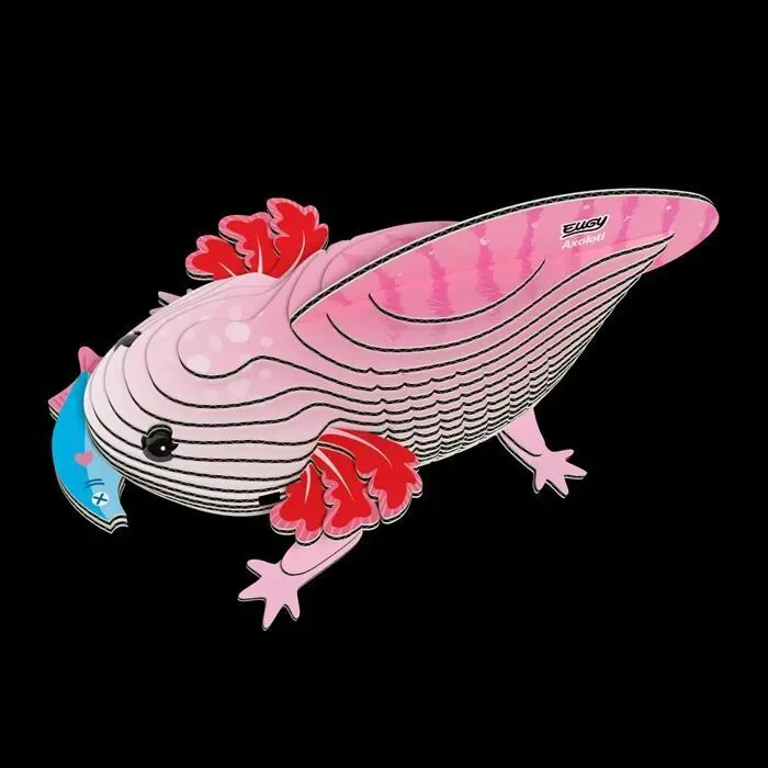 Bild: 9421036940602 | EUGY - 3D Bastelset Axolotl | Kit (Bastelset) | In Karton | 650139