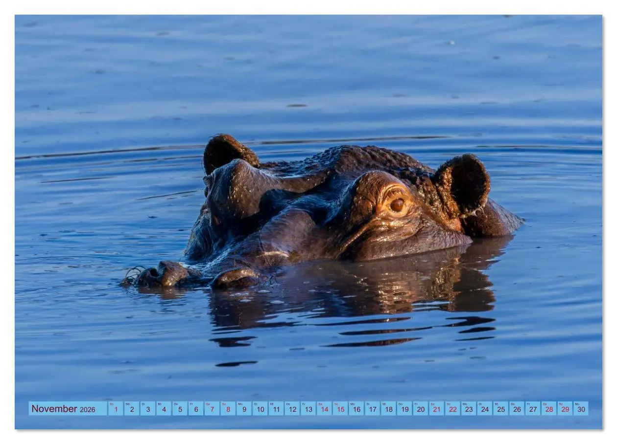 Bild: 9783516630602 | Das Okavango-Delta - Naturwunder im Herzen Afrikas (Wandkalender...