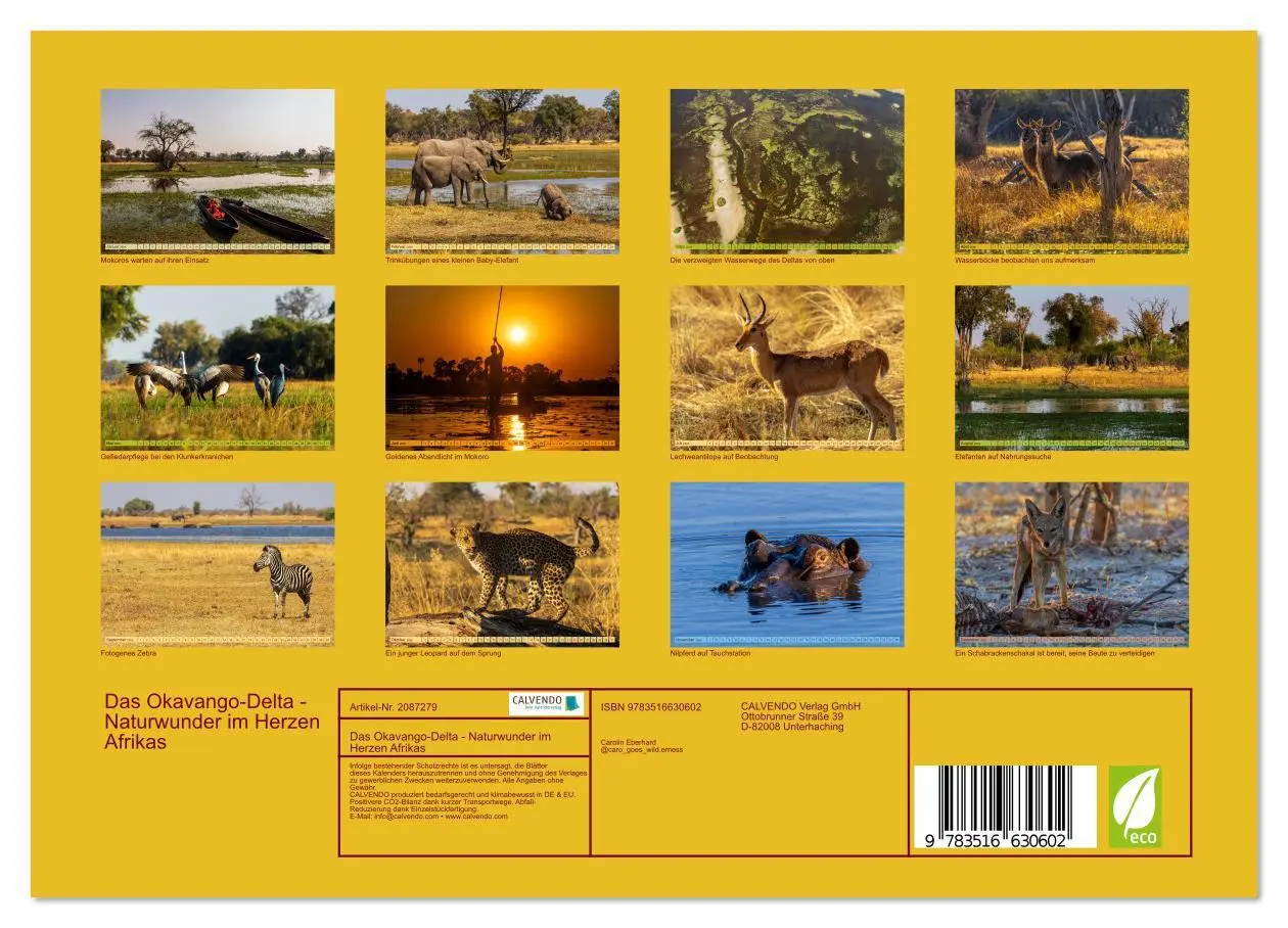 Bild: 9783516630602 | Das Okavango-Delta - Naturwunder im Herzen Afrikas (Wandkalender...