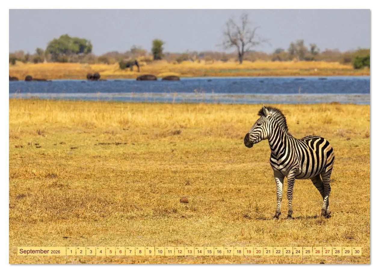Bild: 9783516630602 | Das Okavango-Delta - Naturwunder im Herzen Afrikas (Wandkalender...