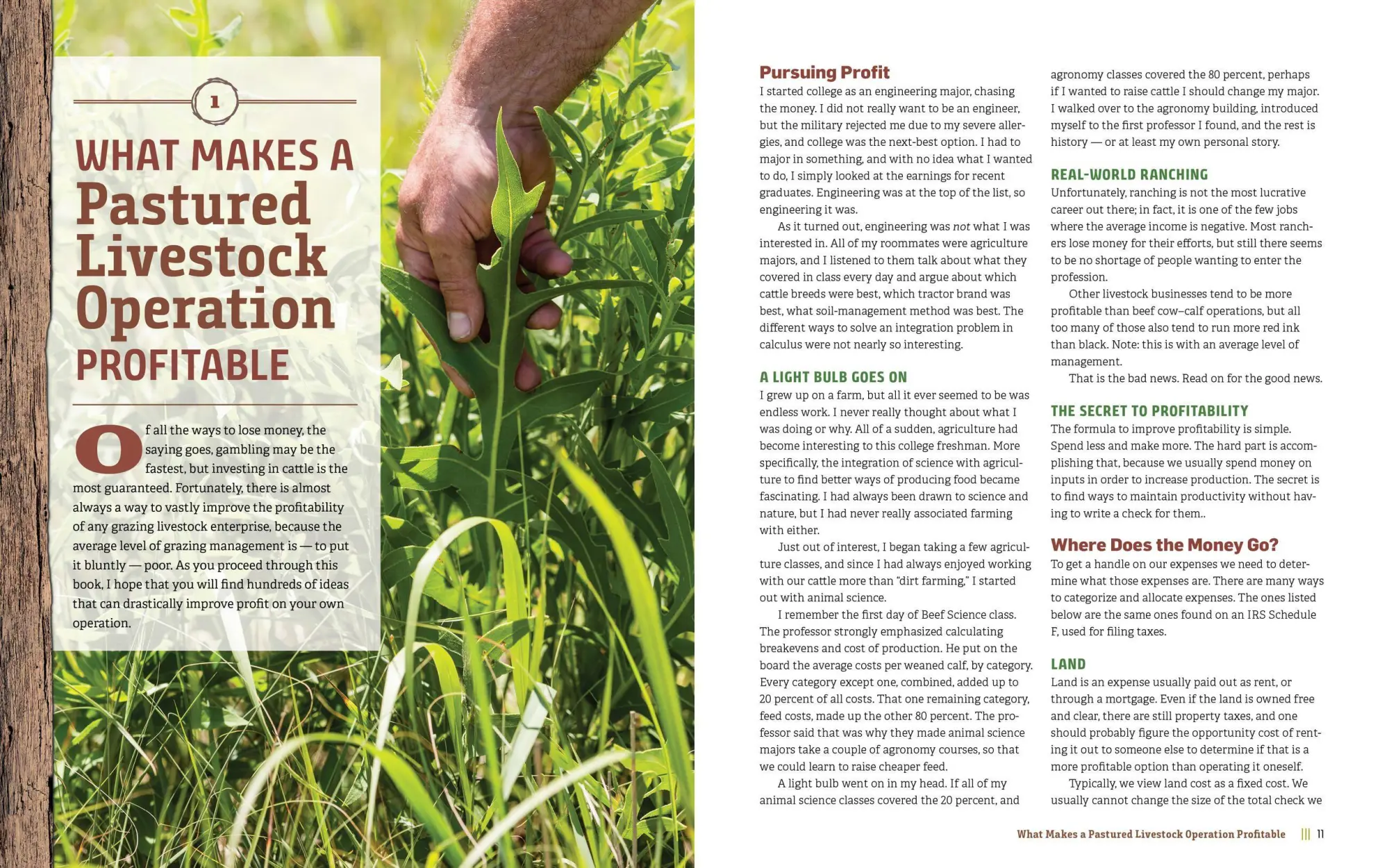 Bild: 9781635860702 | Managing Pasture | Dale Strickler | Buch | Gebunden | Englisch | 2019