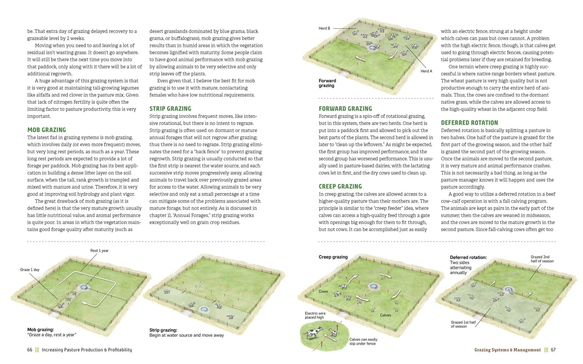 Bild: 9781635860702 | Managing Pasture | Dale Strickler | Buch | Gebunden | Englisch | 2019
