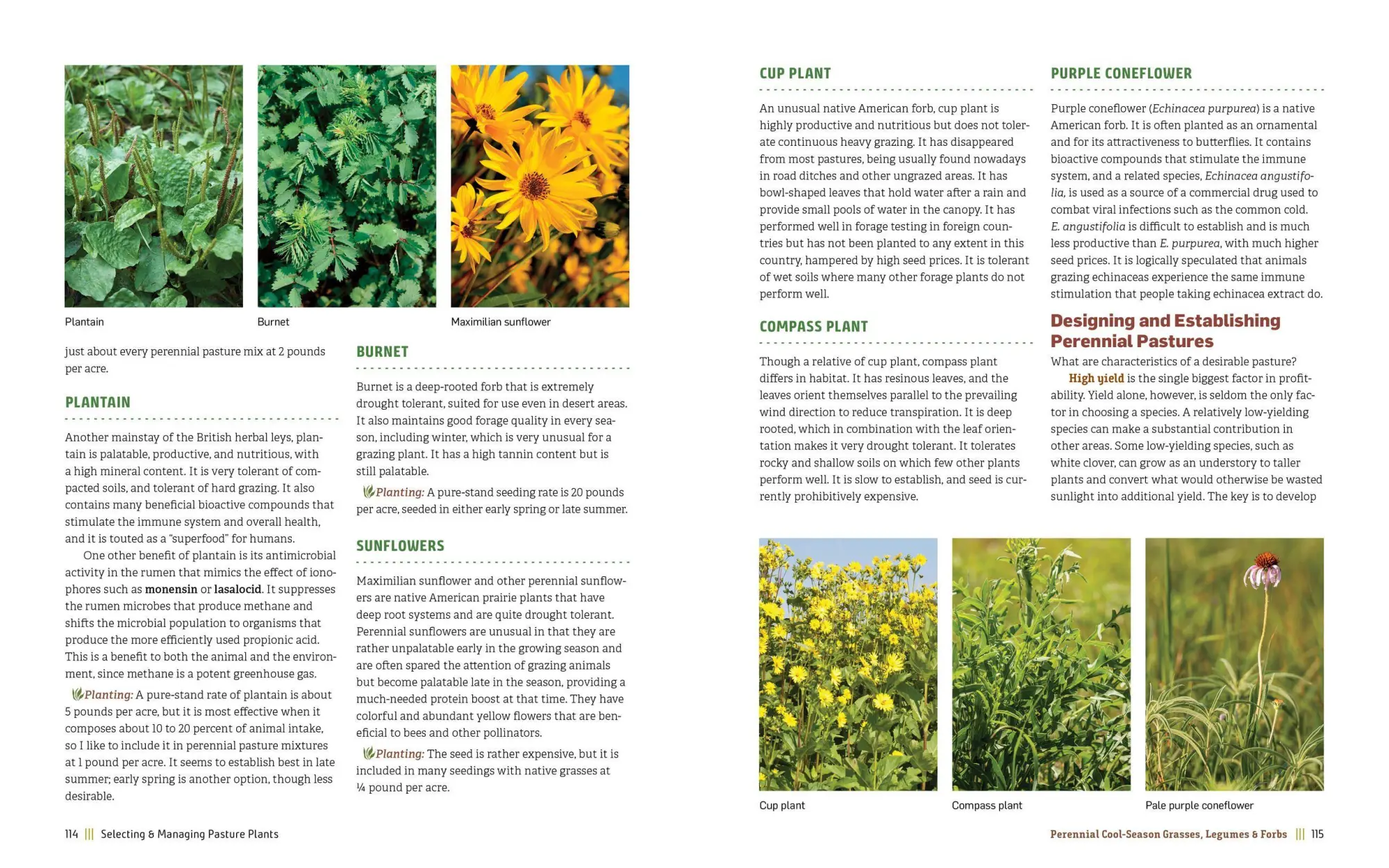 Bild: 9781635860702 | Managing Pasture | Dale Strickler | Buch | Gebunden | Englisch | 2019