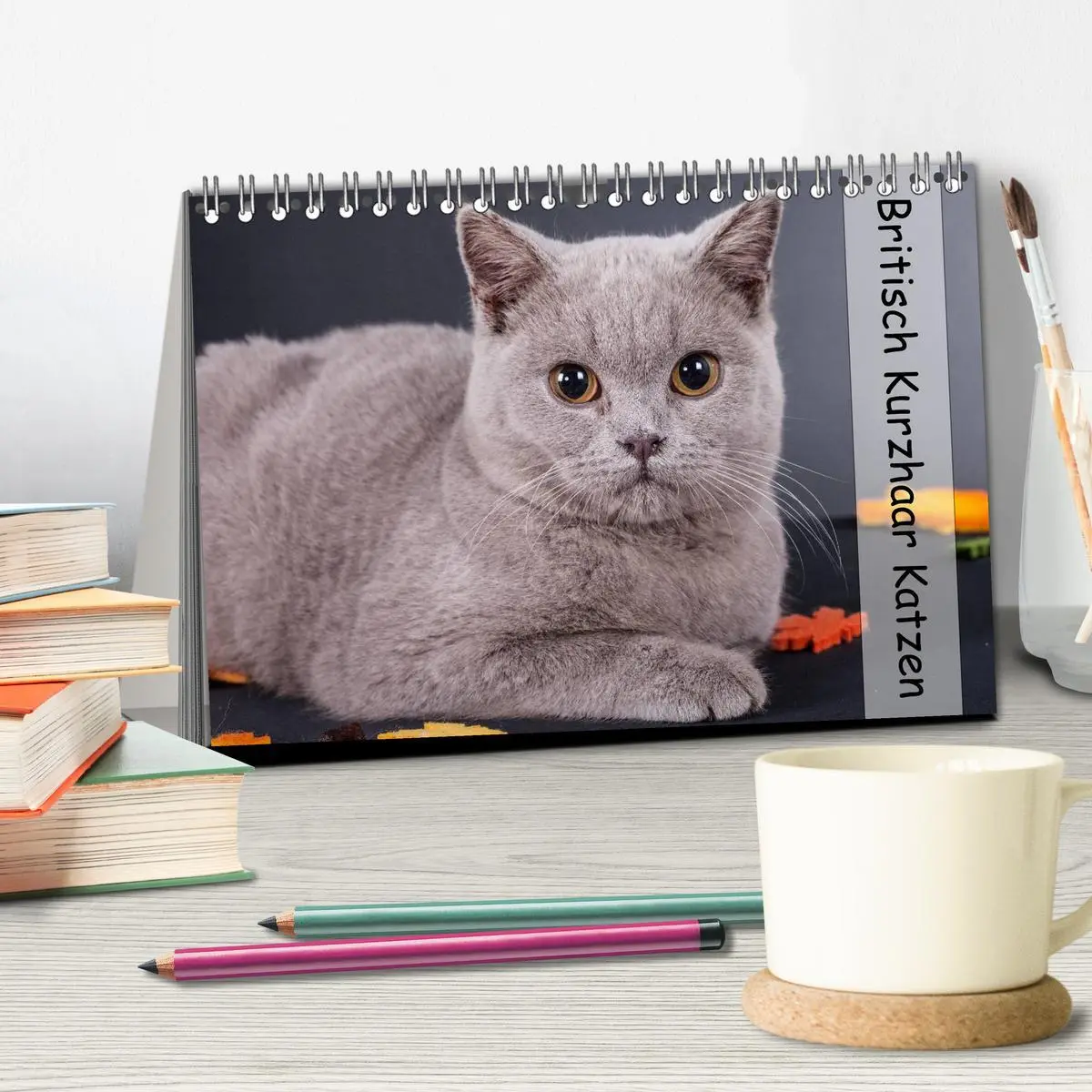 Bild: 9783516170702 | Britisch Kurzhaar Katzen (Tischkalender 2026 DIN A5 quer), CALVENDO...