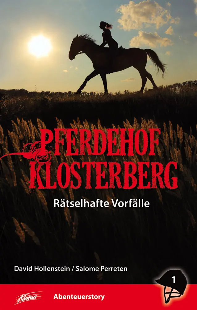 Cover: 9783037830802 | Rätselhafte Vorfälle [1] | Salome Perreten David Hollenstein | Buch