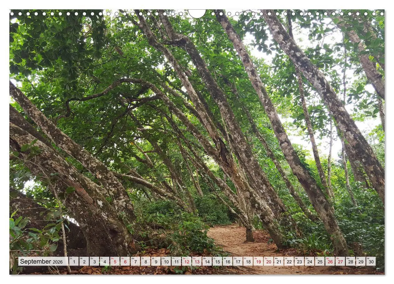 Bild: 9783457820902 | Costa Rica - Lebensfreude pur (Wandkalender 2026 DIN A3 quer),...