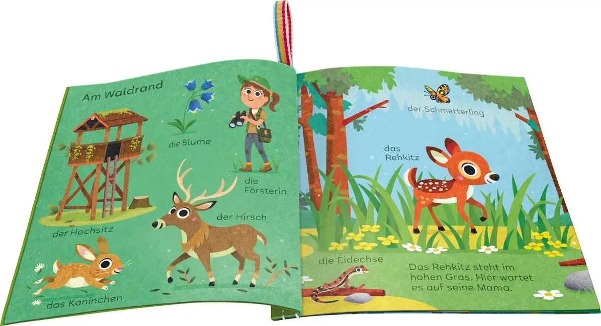 Bild: 9783473420902 | Mein Knuddel-Knautsch-Buch - Im Wald | Cornelia Frank | Buch | 10 S.