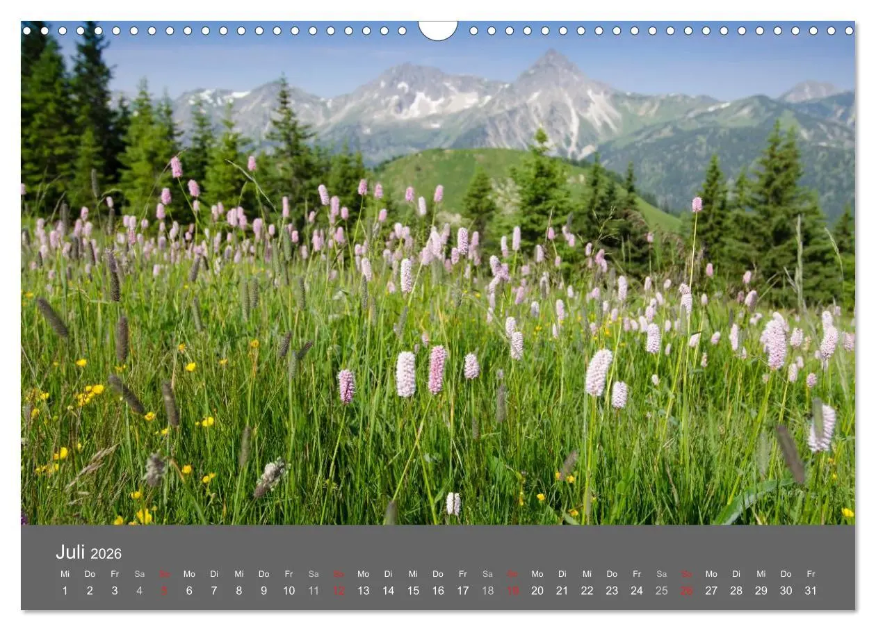 Bild: 9783516220902 | Tannheimer Tal (Wandkalender 2026 DIN A3 quer), CALVENDO...