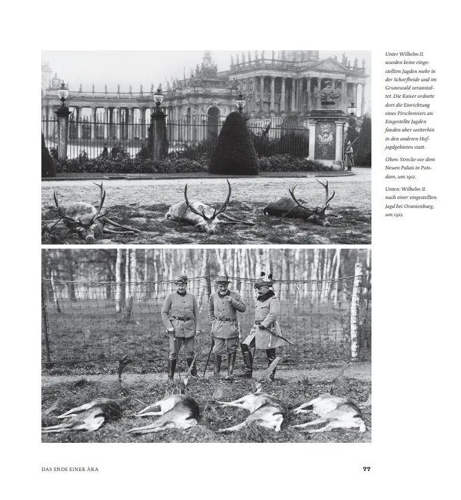 Bild: 9783898090902 | Jagd und Macht | Die Geschichte des Jagdreviers Schorfheide | Buch