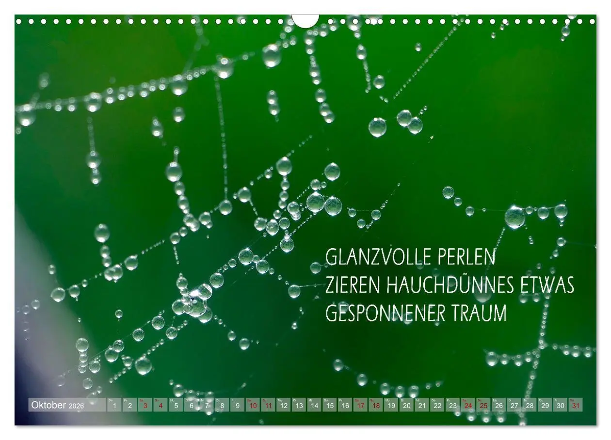 Bild: 9783457401002 | Haiku Poesie in Wort und Bild (Wandkalender 2026 DIN A3 quer),...