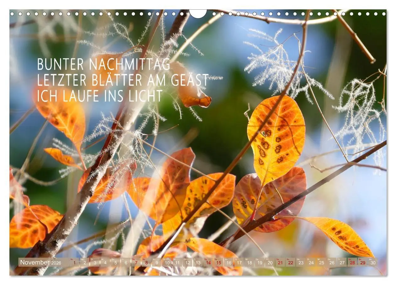Bild: 9783457401002 | Haiku Poesie in Wort und Bild (Wandkalender 2026 DIN A3 quer),...
