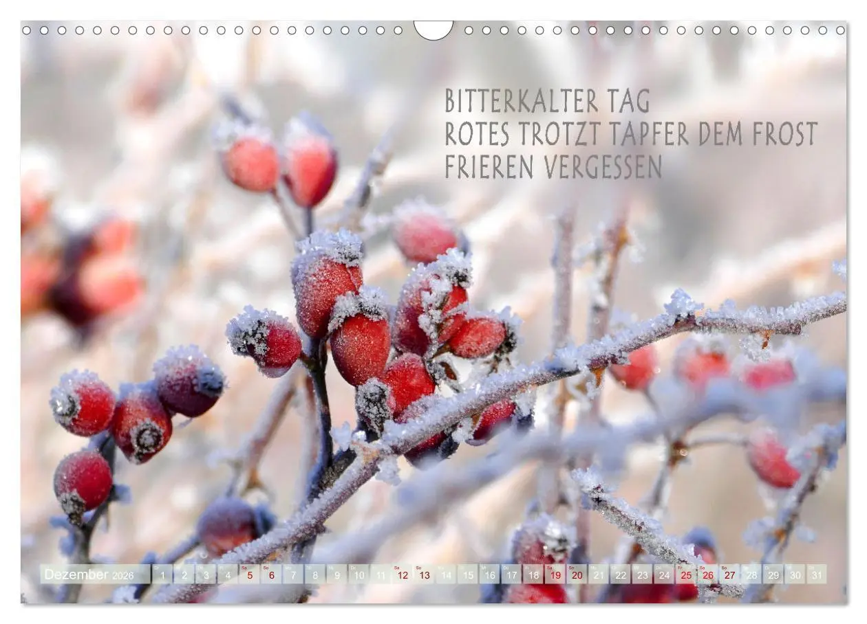 Bild: 9783457401002 | Haiku Poesie in Wort und Bild (Wandkalender 2026 DIN A3 quer),...