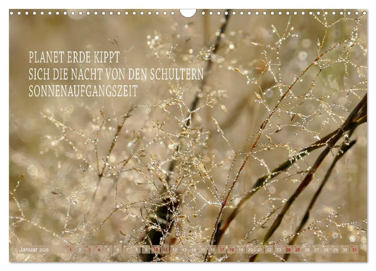 Bild: 9783457401002 | Haiku Poesie in Wort und Bild (Wandkalender 2026 DIN A3 quer),...