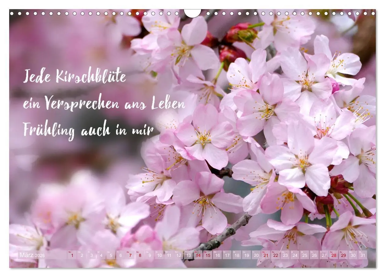 Bild: 9783457401002 | Haiku Poesie in Wort und Bild (Wandkalender 2026 DIN A3 quer),...