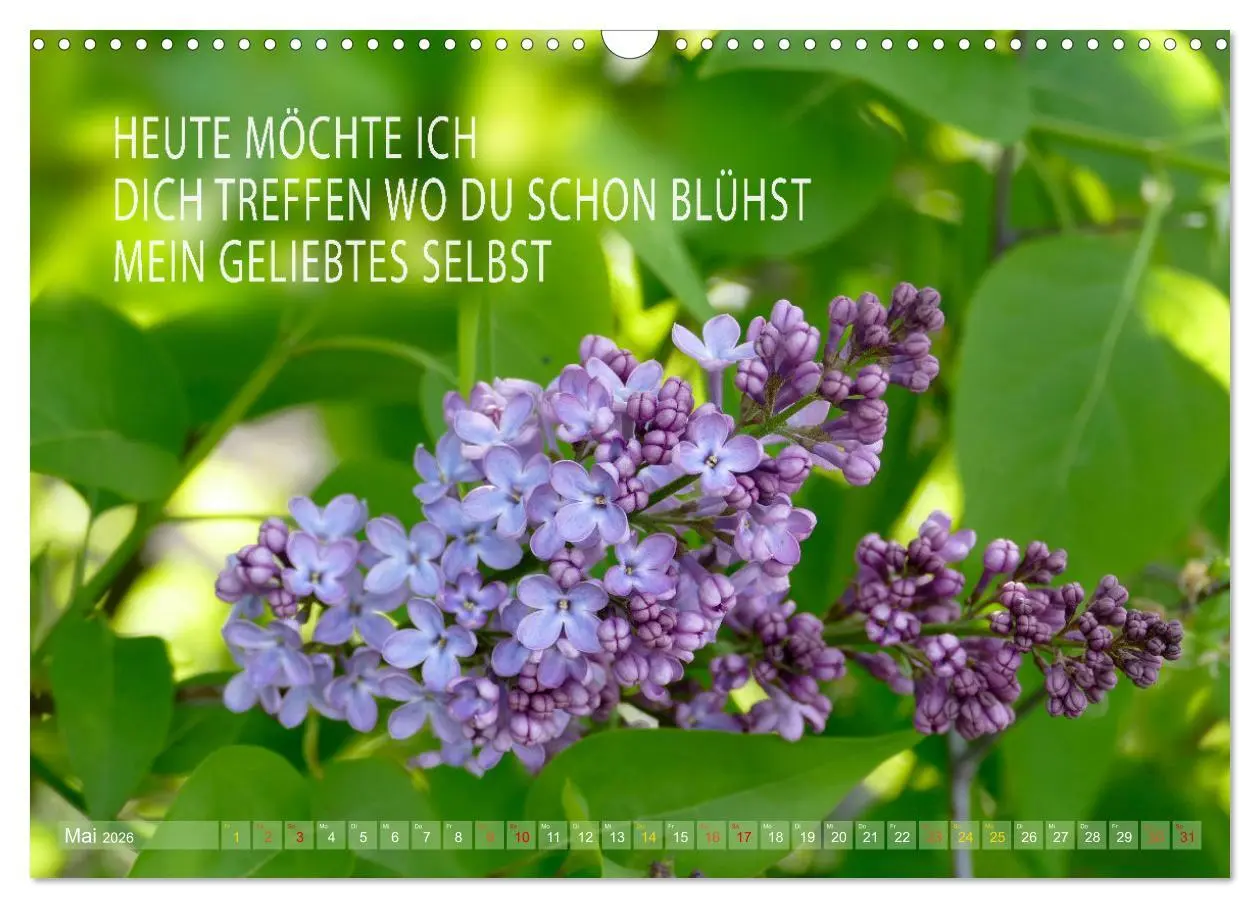 Bild: 9783457401002 | Haiku Poesie in Wort und Bild (Wandkalender 2026 DIN A3 quer),...