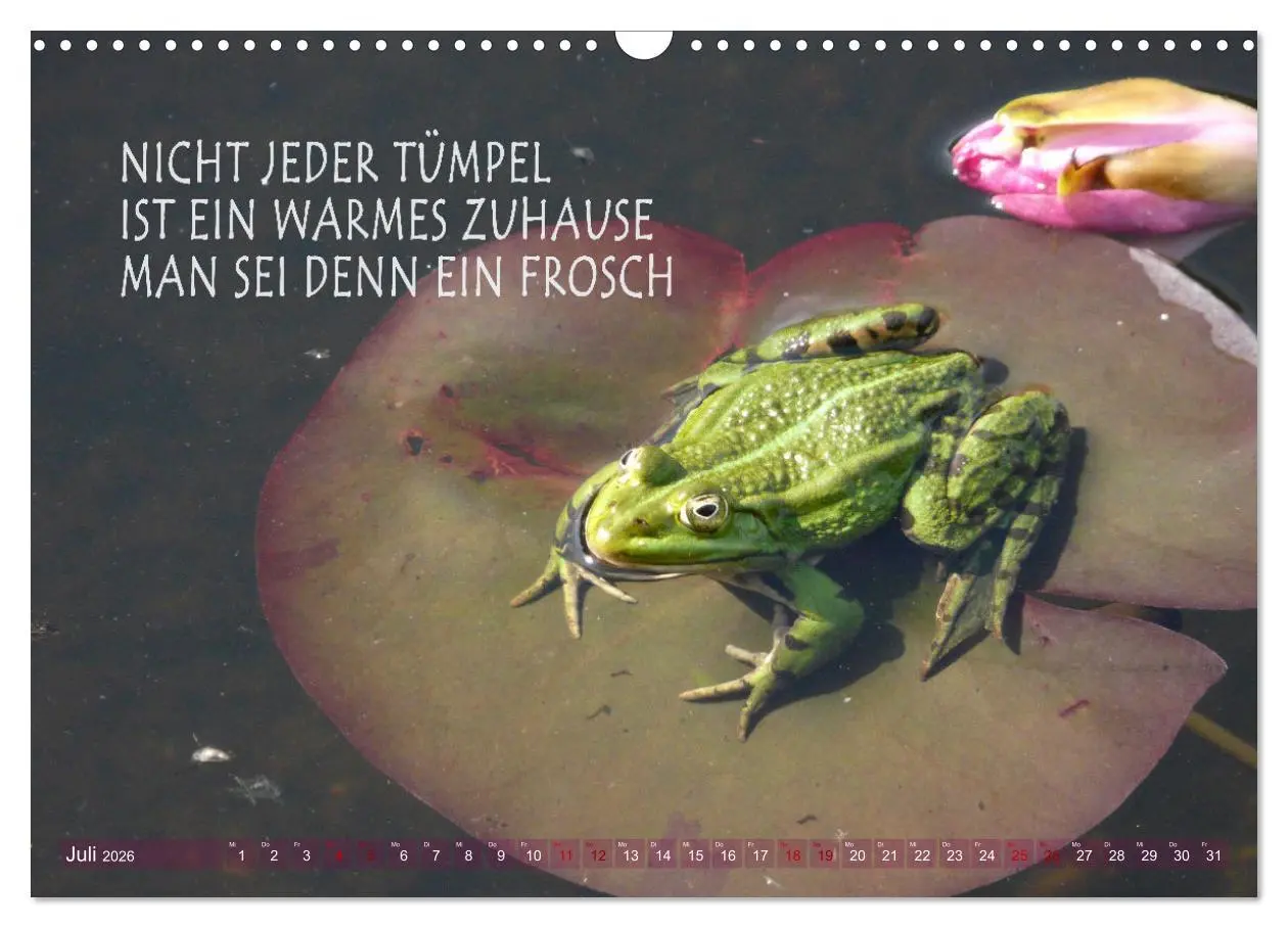 Bild: 9783457401002 | Haiku Poesie in Wort und Bild (Wandkalender 2026 DIN A3 quer),...