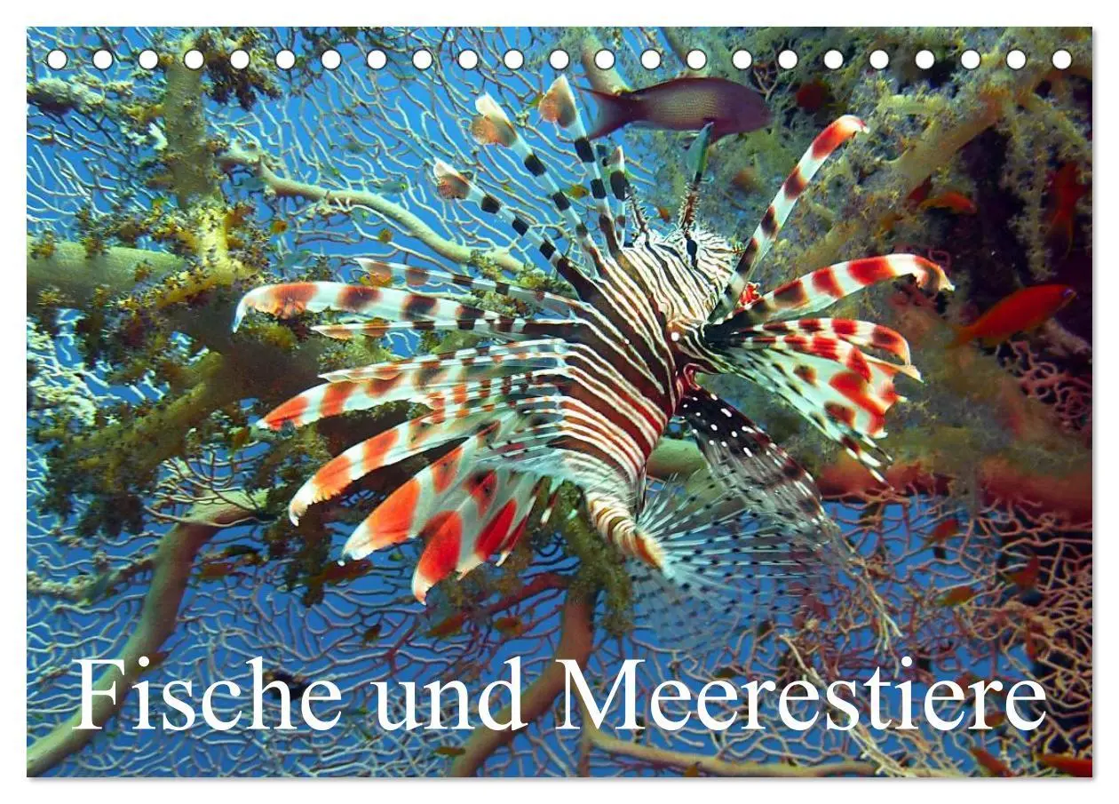Cover: 9783516111002 | Fische und Meerestiere (Tischkalender 2026 DIN A5 quer), CALVENDO...