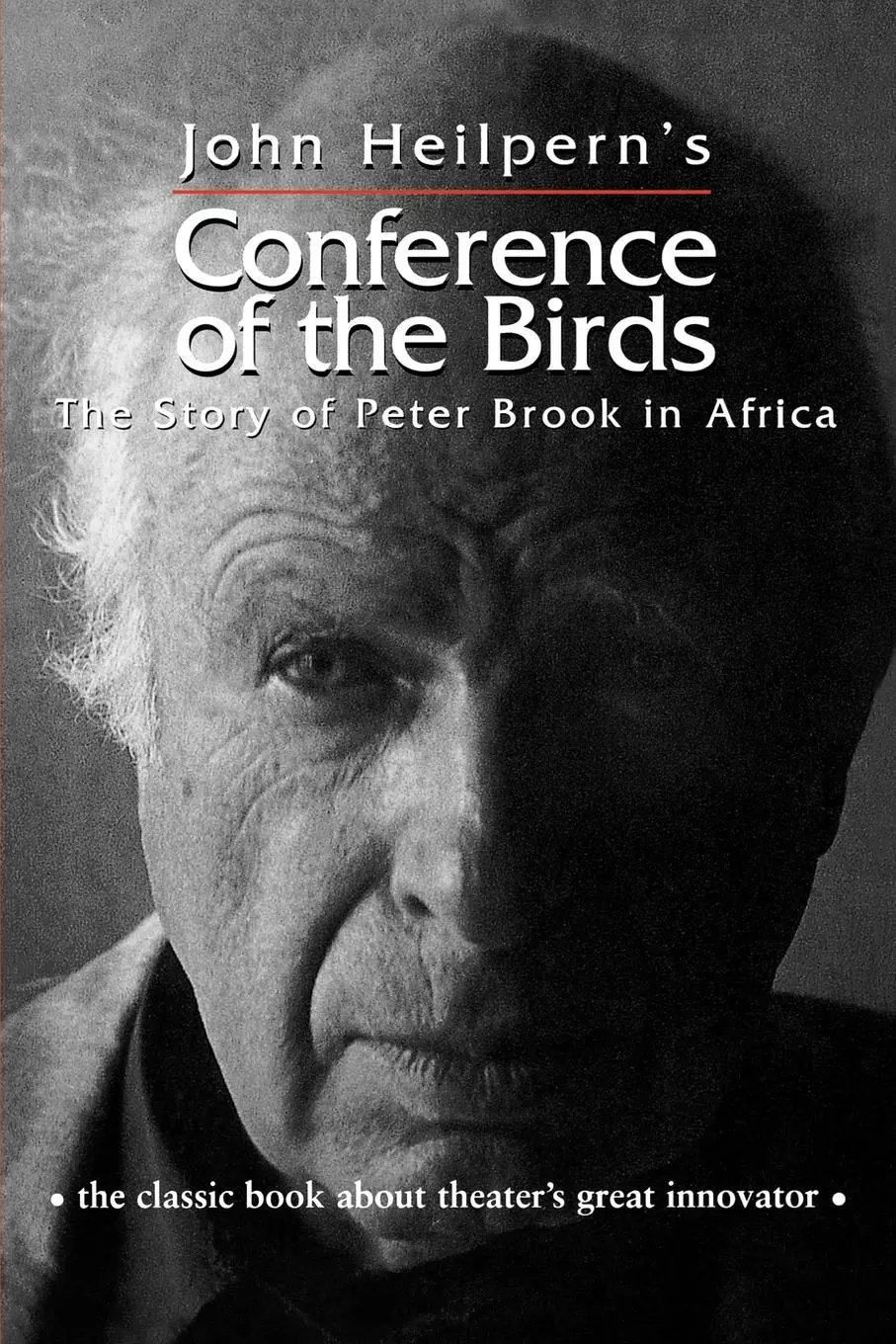 Cover: 9780878301102 | Conference of the Birds | The Story of Peter Brook in Africa | Buch