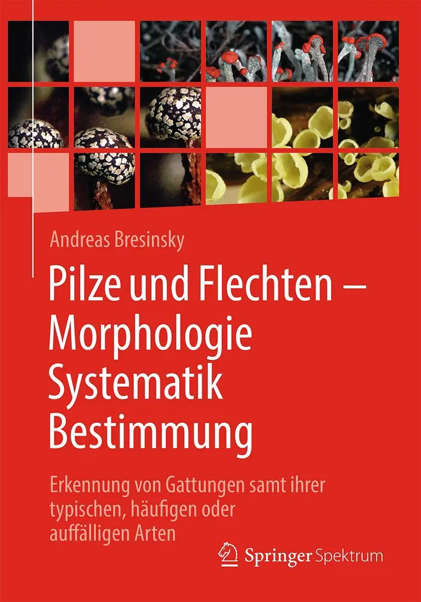 Cover: 9783662631102 | Pilze und Flechten - Morphologie, Systematik, Bestimmung | Bresinsky