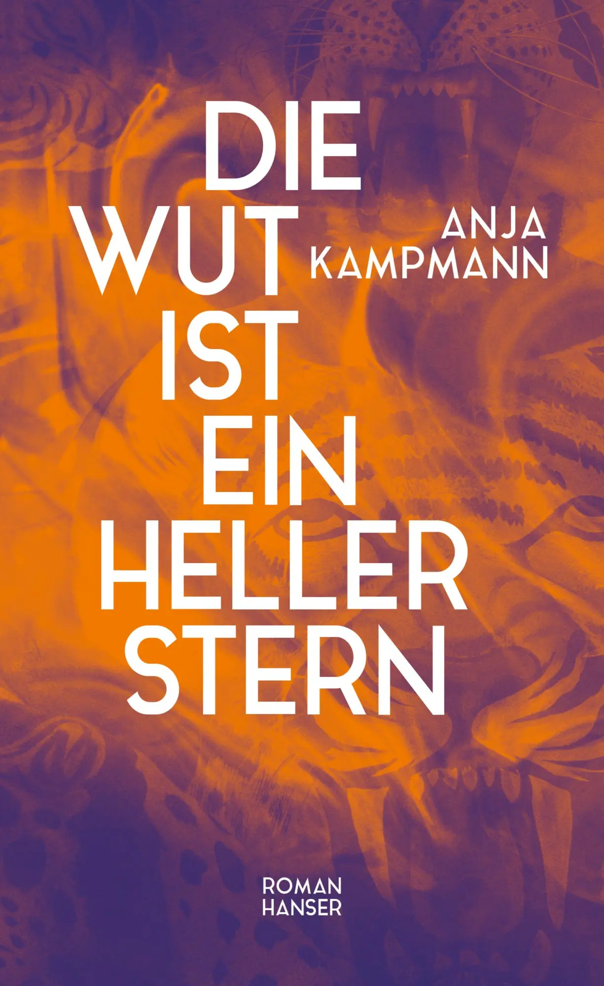 Cover: 9783446281202 | Die Wut ist ein heller Stern | Roman | Anja Kampmann | Buch | 496 S.