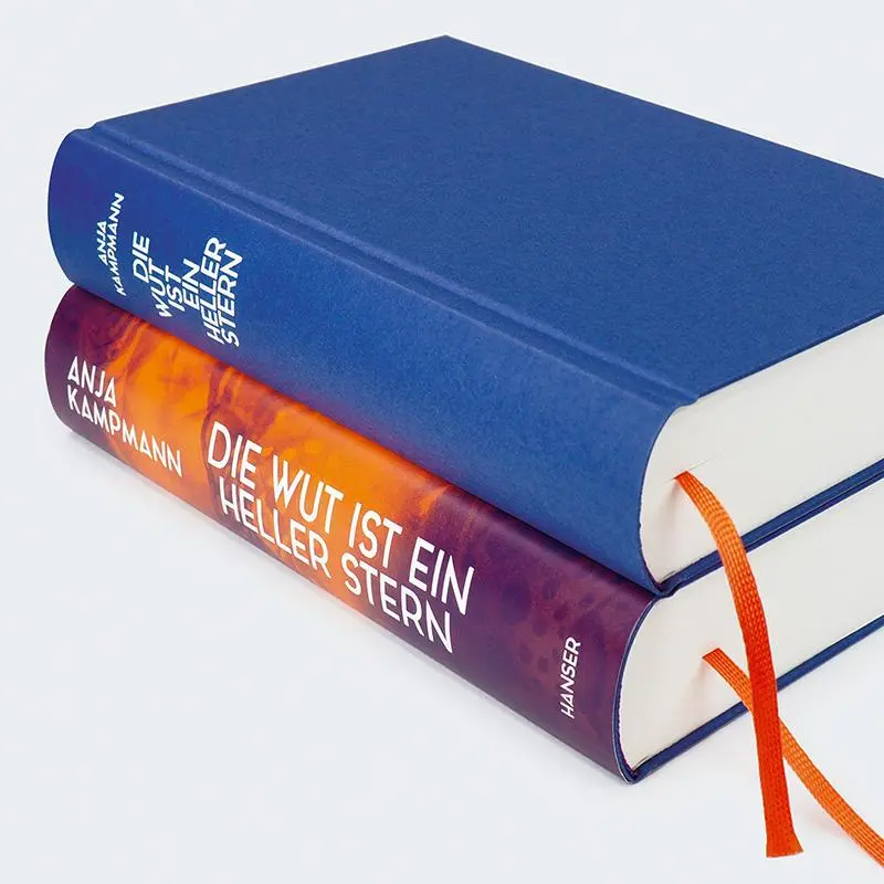 Bild: 9783446281202 | Die Wut ist ein heller Stern | Roman | Anja Kampmann | Buch | 496 S.