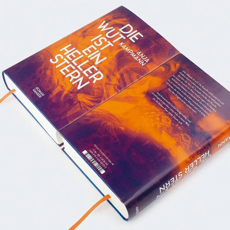 Bild: 9783446281202 | Die Wut ist ein heller Stern | Roman | Anja Kampmann | Buch | 496 S.