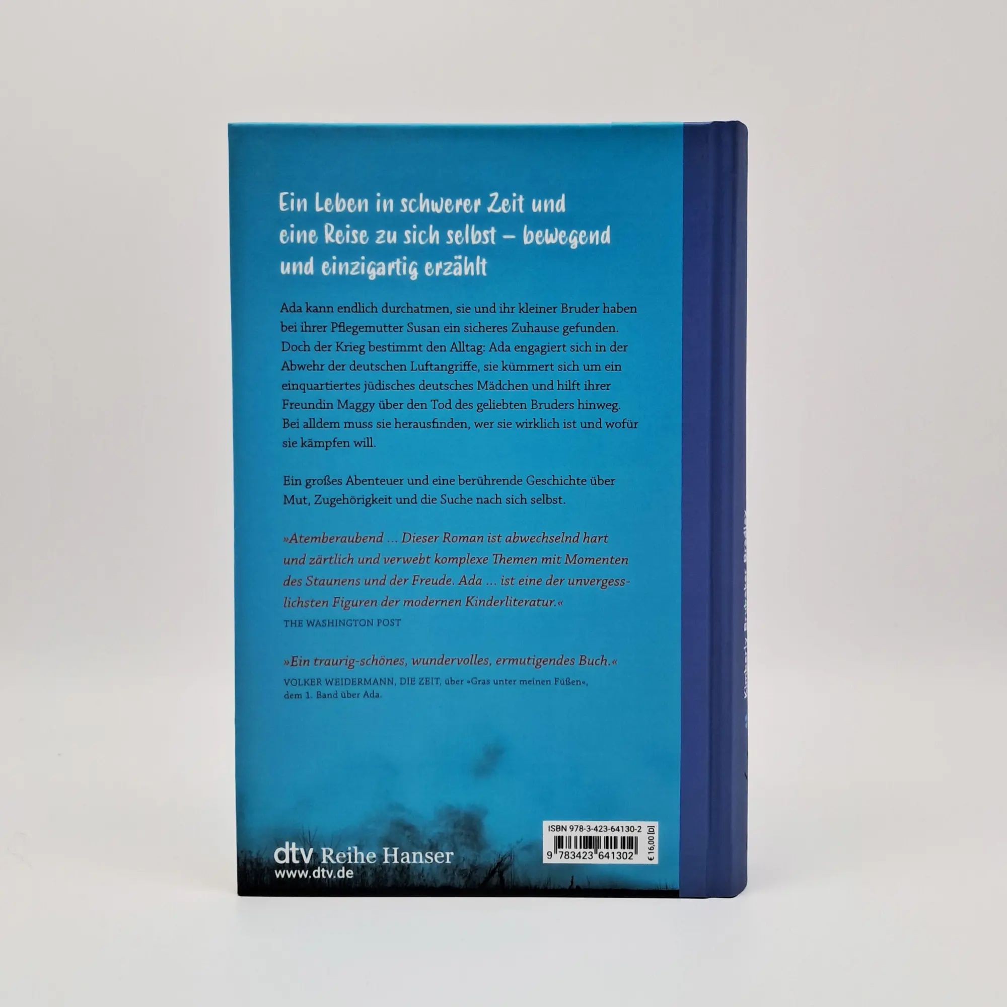 Bild: 9783423641302 | Über mir der weite Himmel | Kimberly Brubaker Bradley | Buch | 400 S.
