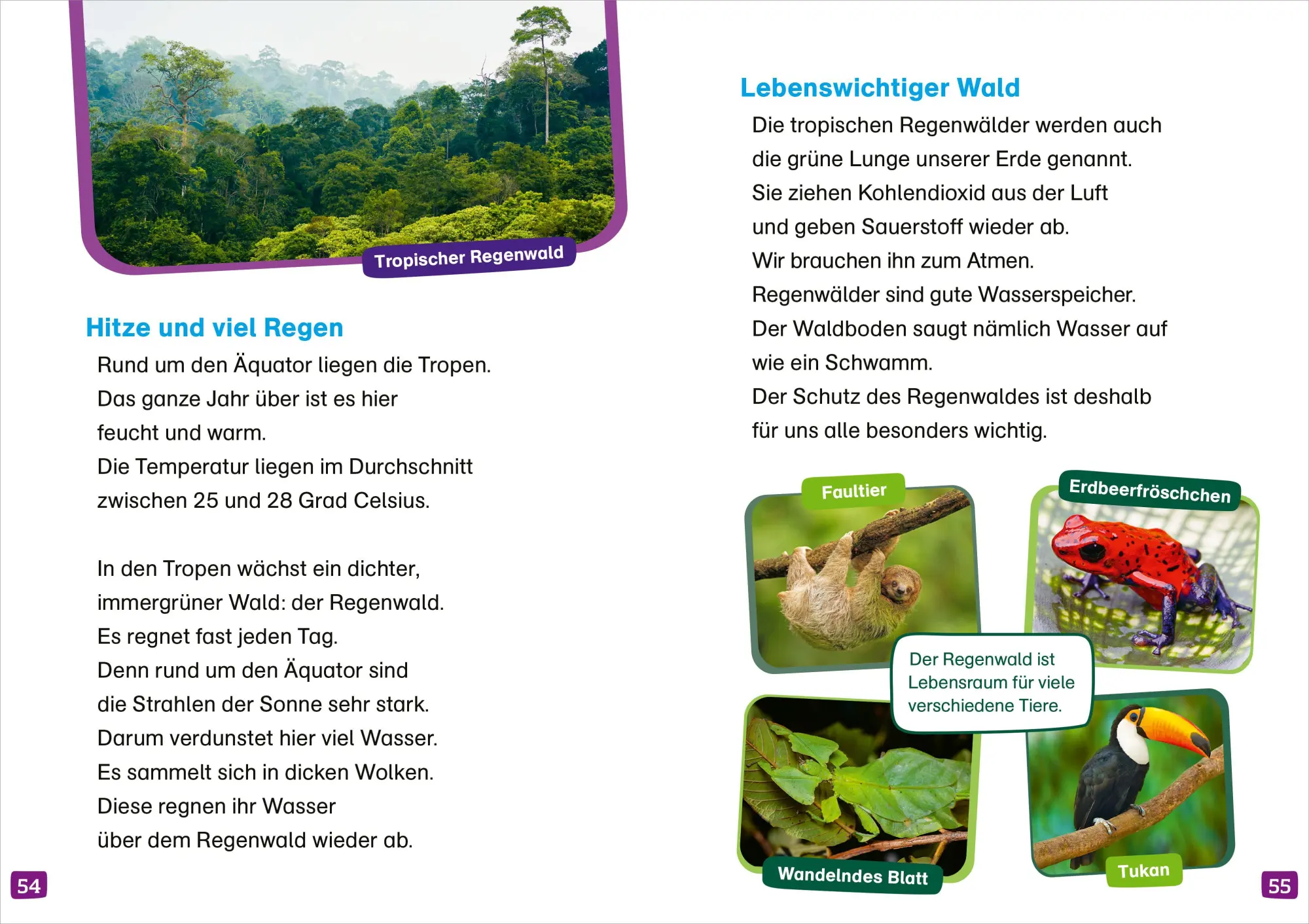 Bild: 9783788681302 | WAS IST WAS Erstes Lesen. Unsere Erde | Christina Braun | Buch | 64 S.