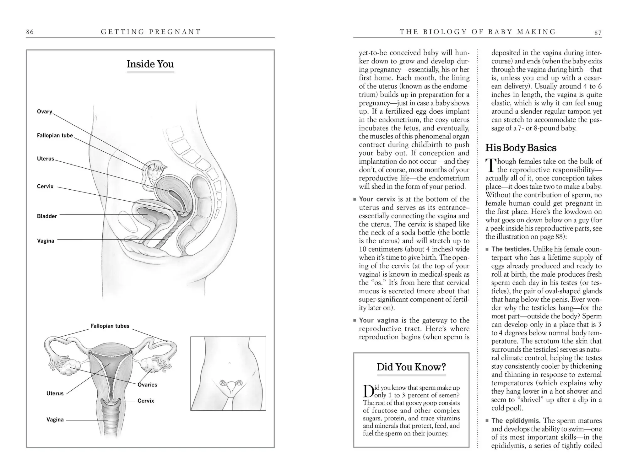 Bild: 9781523501502 | What to Expect Before You're Expecting | Heidi Murkoff | Taschenbuch