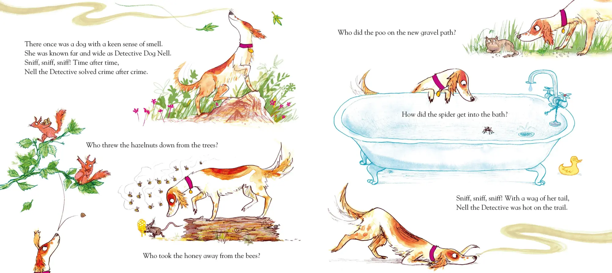 Bild: 9781509801602 | The Detective Dog | Julia Donaldson | Taschenbuch | Englisch | 2017