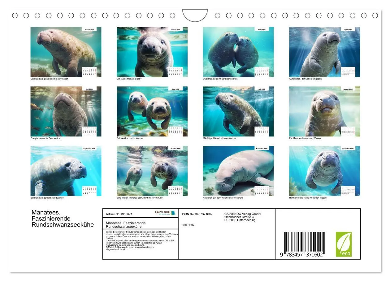 Bild: 9783457371602 | Manatees. Faszinierende Rundschwanzseekühe (Wandkalender 2026 DIN...