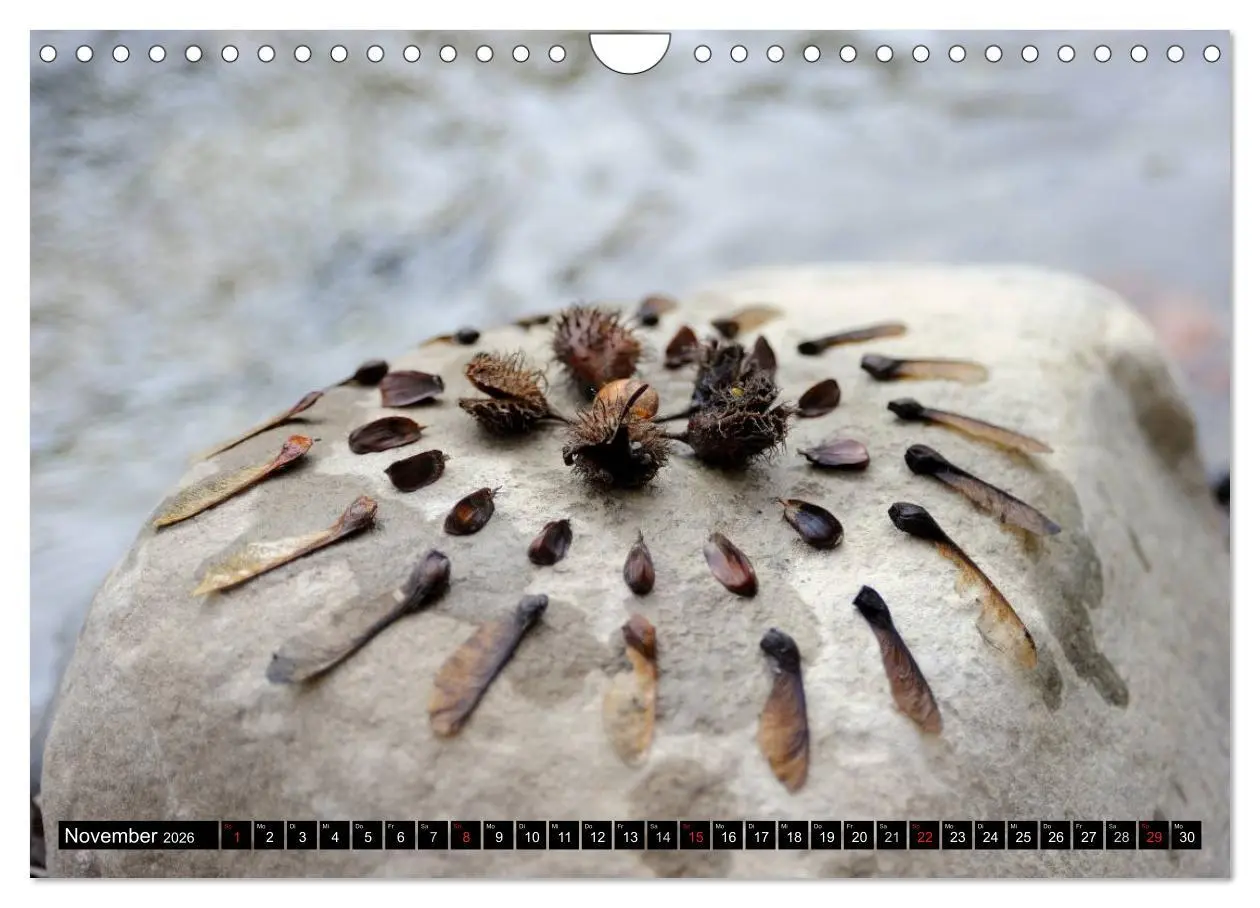 Bild: 9783516141702 | Land Art - Natur und Kunst (Wandkalender 2026 DIN A4 quer),...