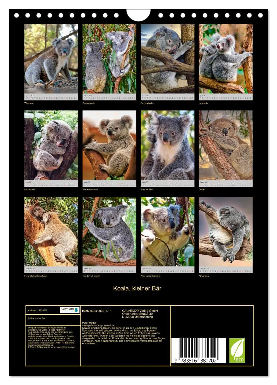 Bild: 9783516381702 | Koala, kleiner Bär (Wandkalender 2026 DIN A4 hoch), CALVENDO...