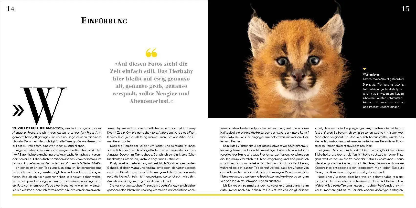 Bild: 9783987011702 | Tierkinder | 120 berührende Porträts vom Werden und Wachsen | Sartore
