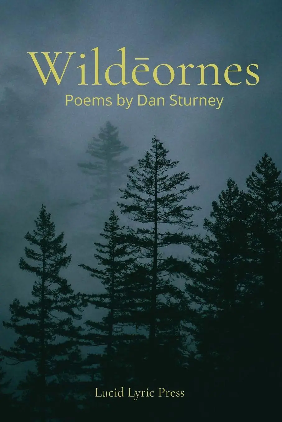 Cover: 9781068171802 | Wild¿ornes | Poems by Dan Sturney | Dan Sturney | Taschenbuch | 2025
