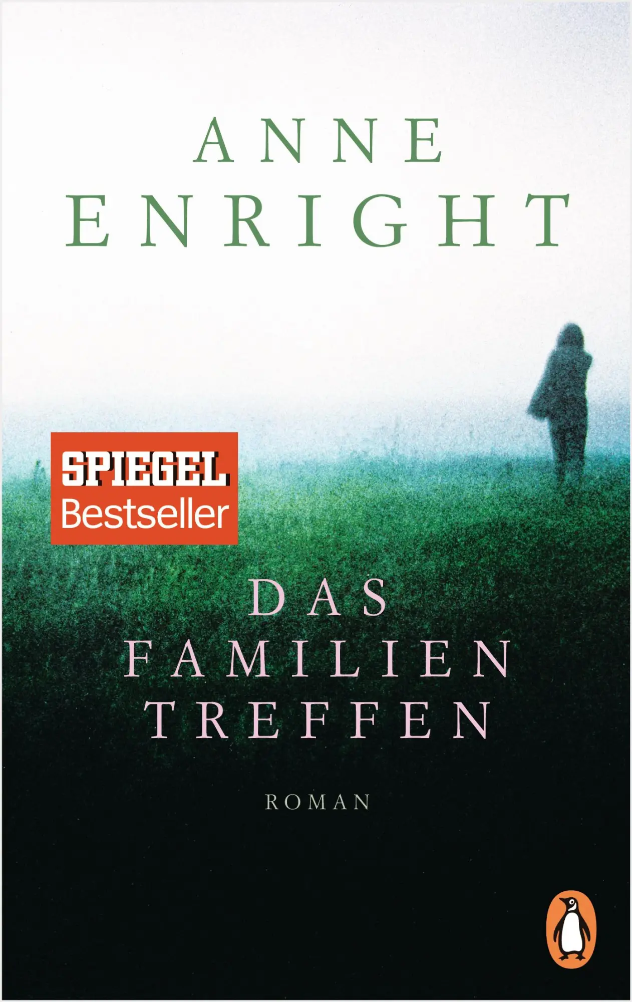 Cover: 9783328101802 | Das Familientreffen | Anne Enright | Taschenbuch | 368 S. | Deutsch