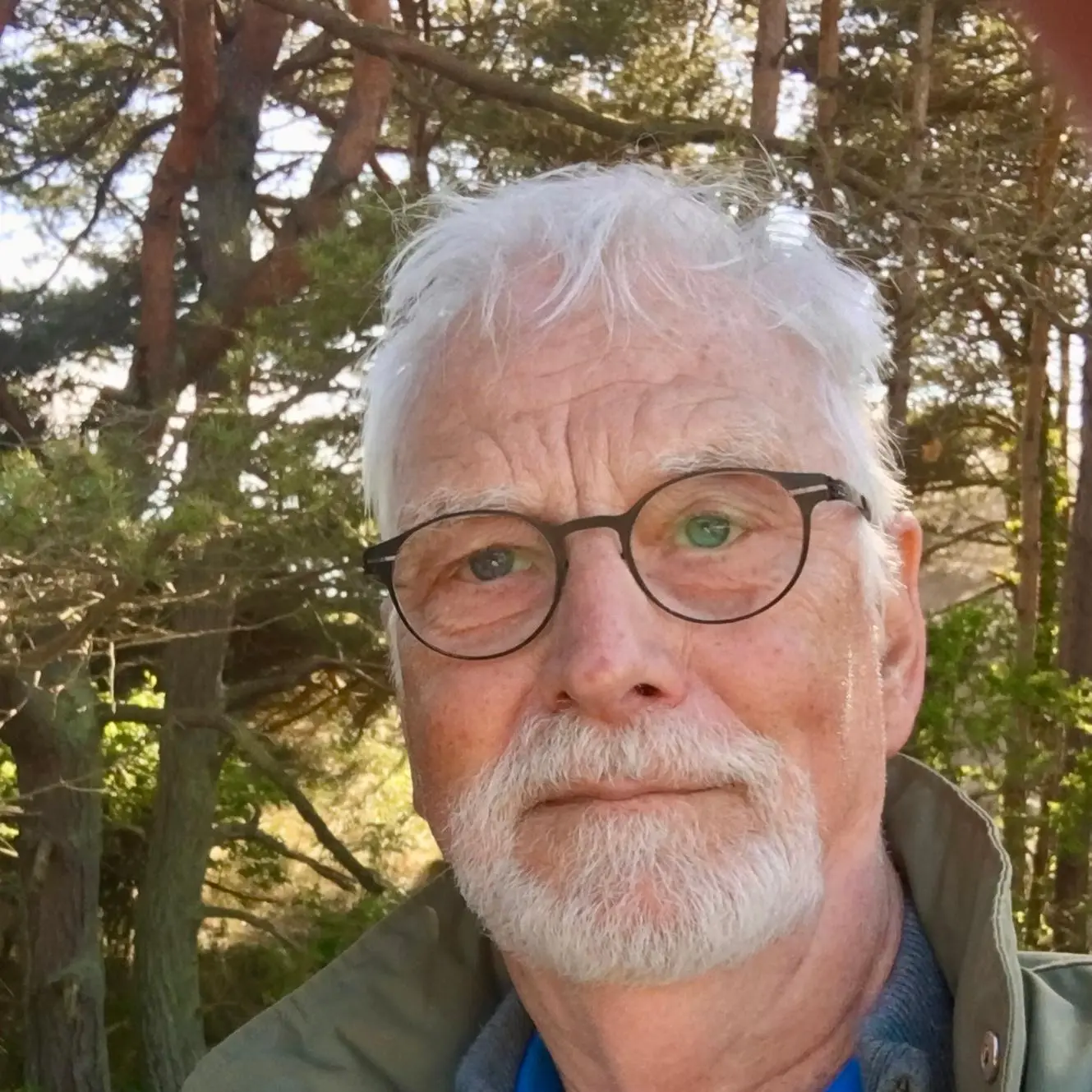 Autor: 9783384541802 | Ochse und Hirte | Die zehn Ochsenbilder des ZEN | Klaus Fahrendorf