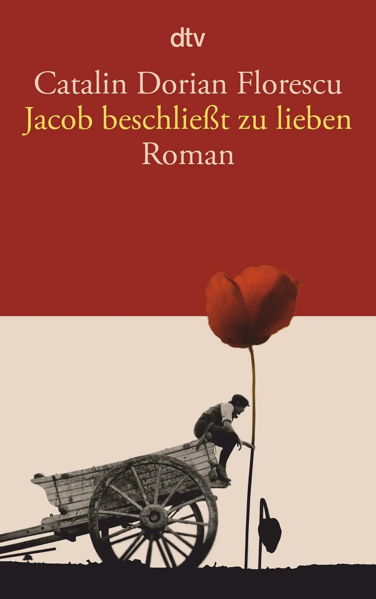 Cover: 9783423141802 | Jacob beschließt zu lieben | Catalin Dorian Florescu | Taschenbuch