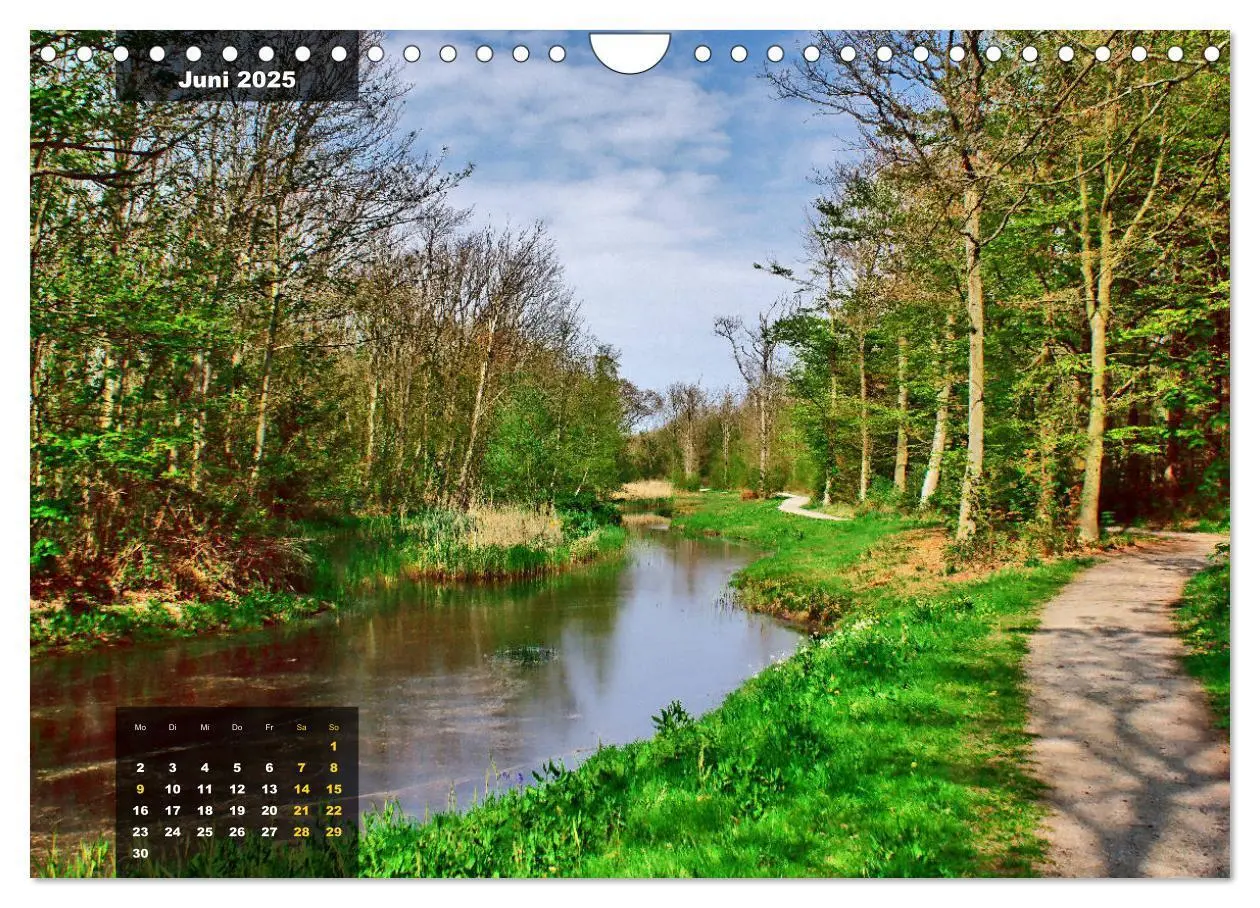Bild: 9783435331802 | Texel Insel mit Charakter (Wandkalender 2025 DIN A4 quer), CALVENDO...