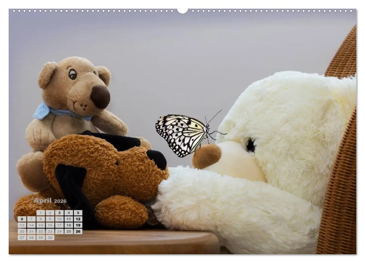 Bild: 9783457971802 | Teddys, wollen wir Kalender anschauen? (hochwertiger Premium...