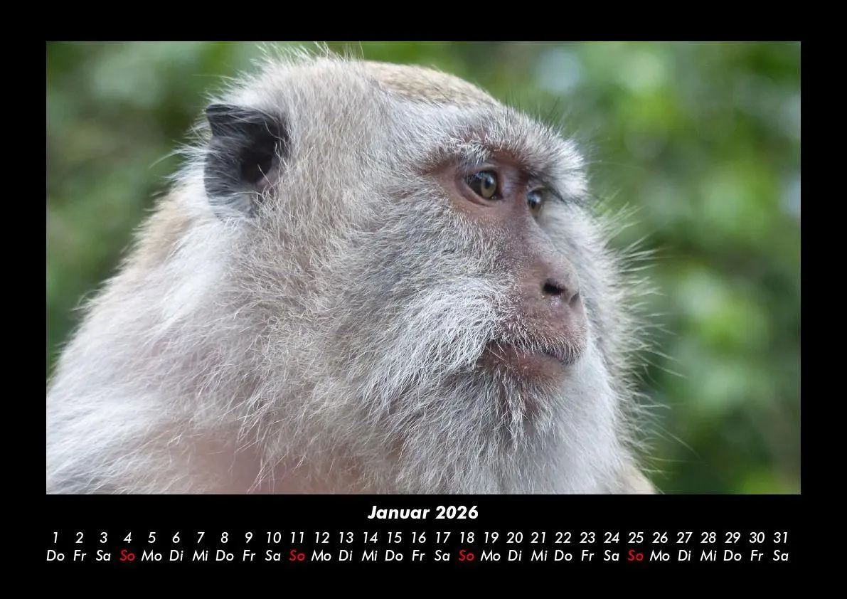 Bild: 9783695401802 | Bali 2026 Fotokalender DIN A3 | Tobias Becker | Kalender | Deutsch
