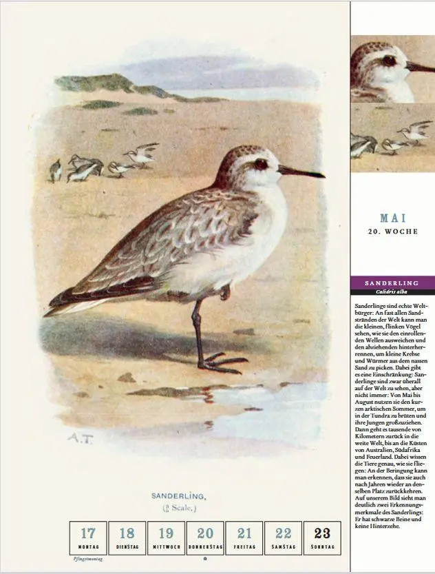 Bild: 9783799521802 | Thorbeckes Küste-und-Meer-Kalender 2027 | Kalender | 56 S. | Deutsch