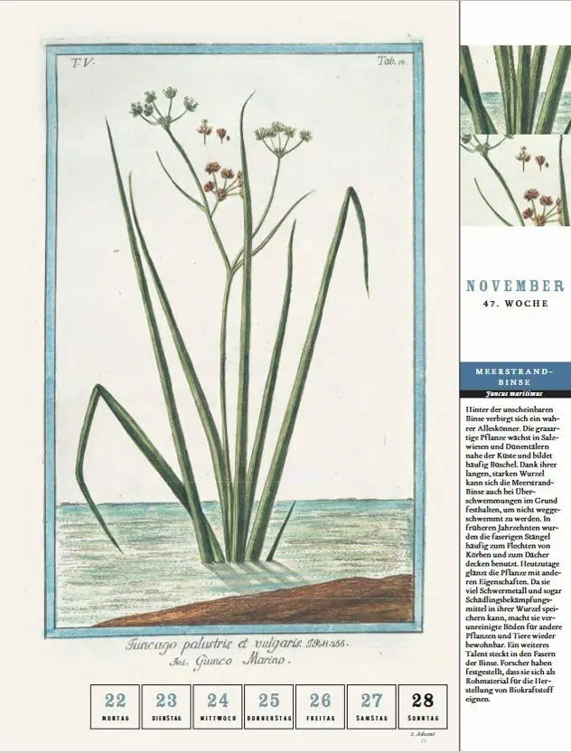 Bild: 9783799521802 | Thorbeckes Küste-und-Meer-Kalender 2027 | Kalender | 56 S. | Deutsch