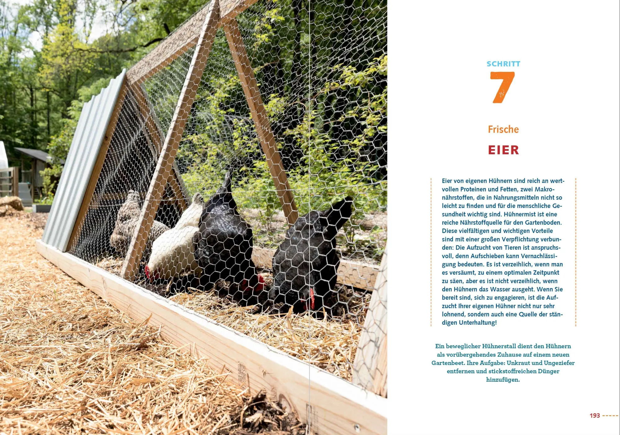 Bild: 9783947021802 | In sieben Schritten zum Selbstversorger | Leah M. Webb | Buch | 232 S.