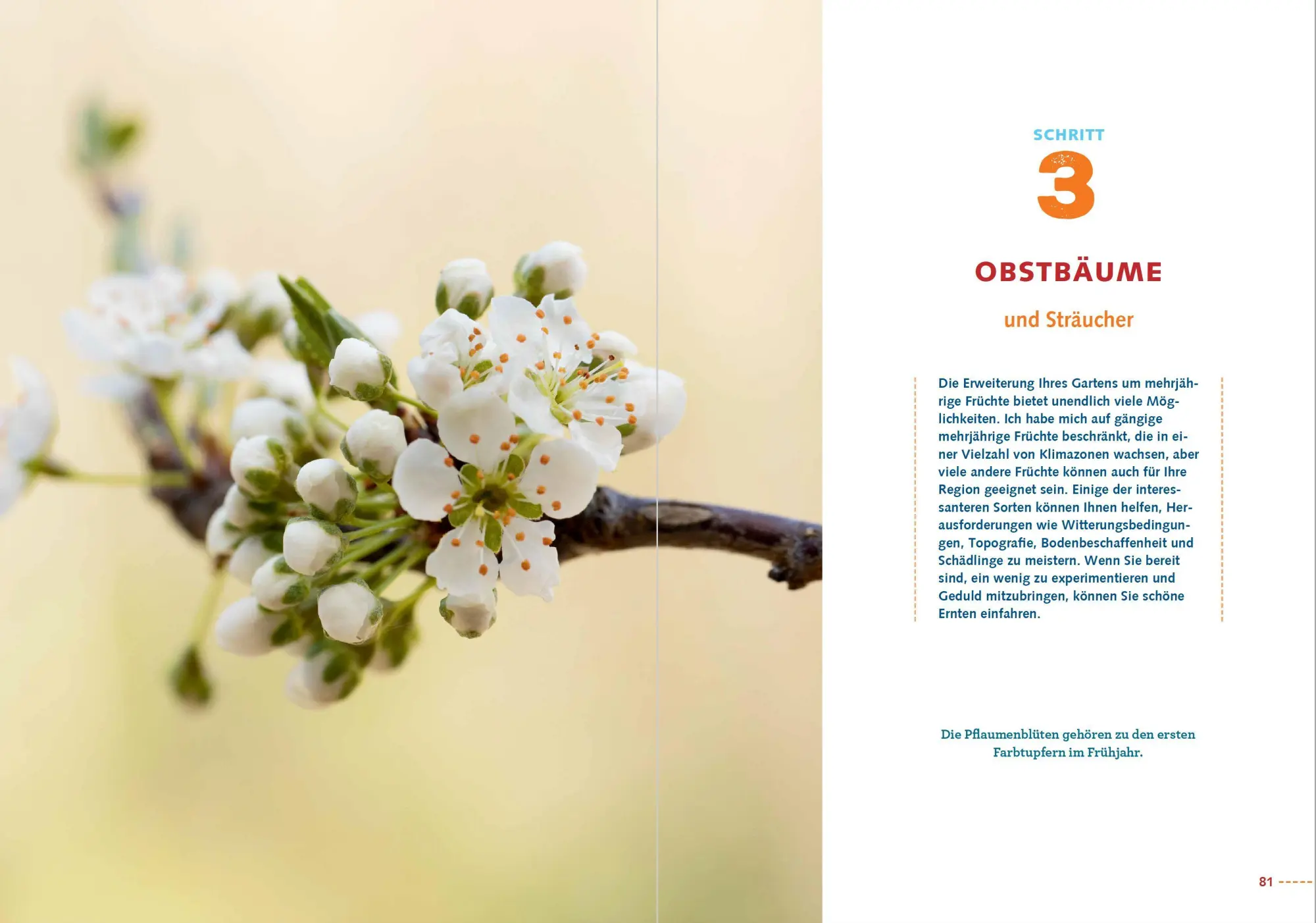 Bild: 9783947021802 | In sieben Schritten zum Selbstversorger | Leah M. Webb | Buch | 232 S.