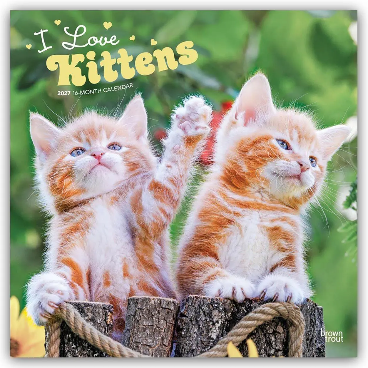 Cover: 9798330711802 | I Love Kittens - Ich liebe Katzenbabys 2027 - 16-Monatskalender | 2027