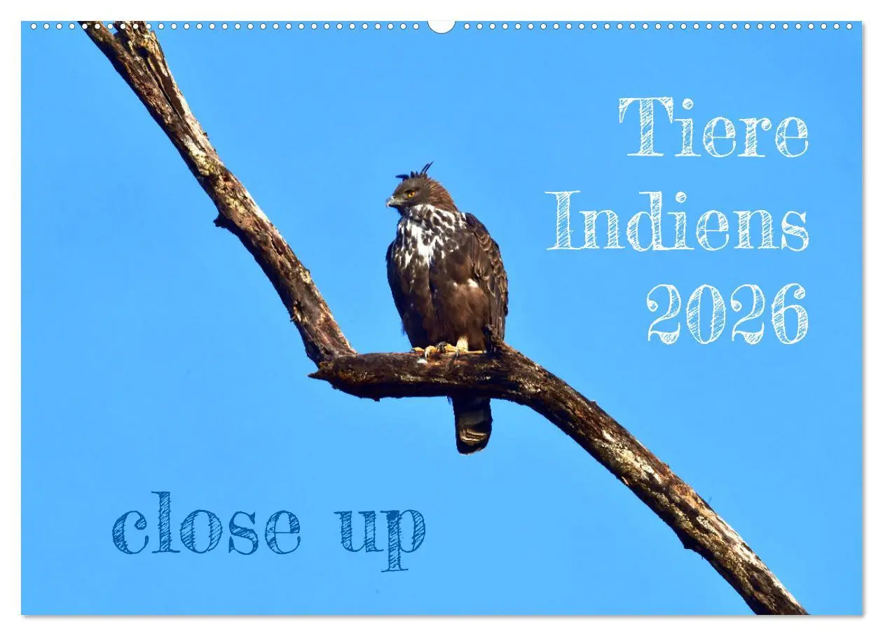 Cover: 9783457411902 | Tiere Indiens close up (Wandkalender 2026 DIN A2 quer), CALVENDO...