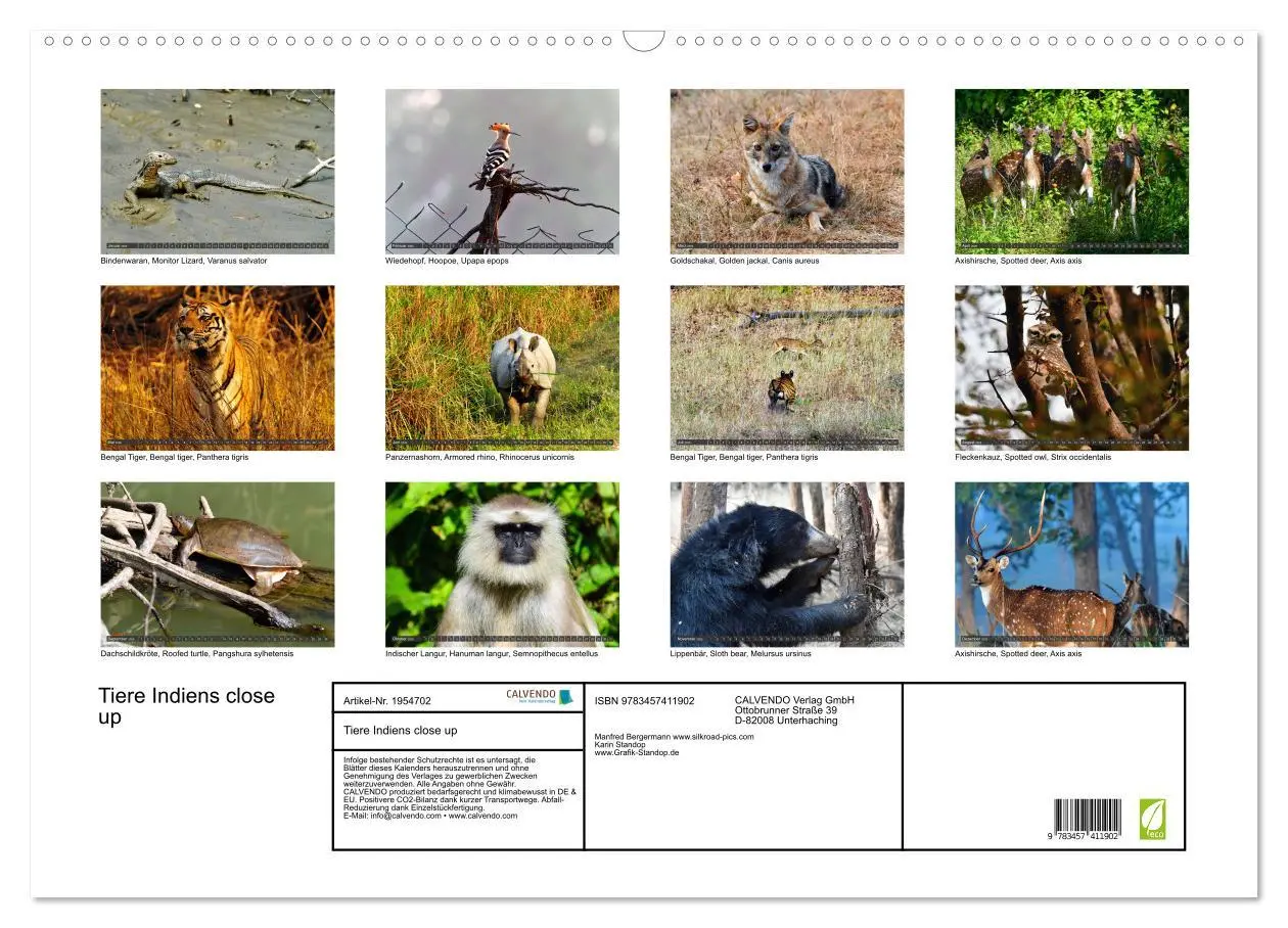 Bild: 9783457411902 | Tiere Indiens close up (Wandkalender 2026 DIN A2 quer), CALVENDO...