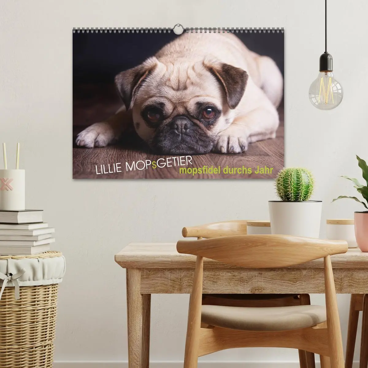 Bild: 9783457961902 | Lillie Mopsgetier - mopsfidel durchs Jahr (Wandkalender 2026 DIN A3...