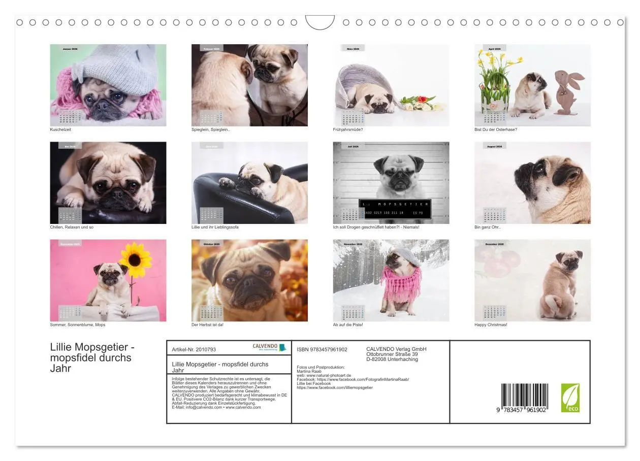Bild: 9783457961902 | Lillie Mopsgetier - mopsfidel durchs Jahr (Wandkalender 2026 DIN A3...